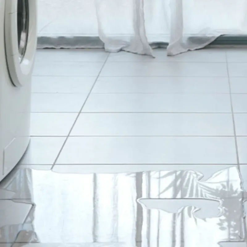 Appliance Leak Cleanup in De Leon Springs, FL